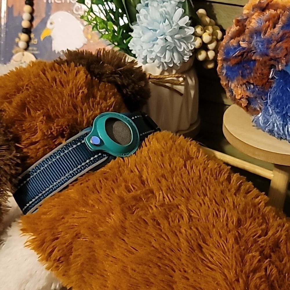 Airtag dog collar size M